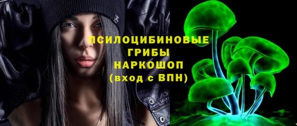 МДПВ Богородицк