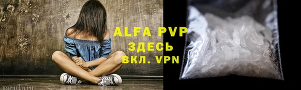 метадон Богданович