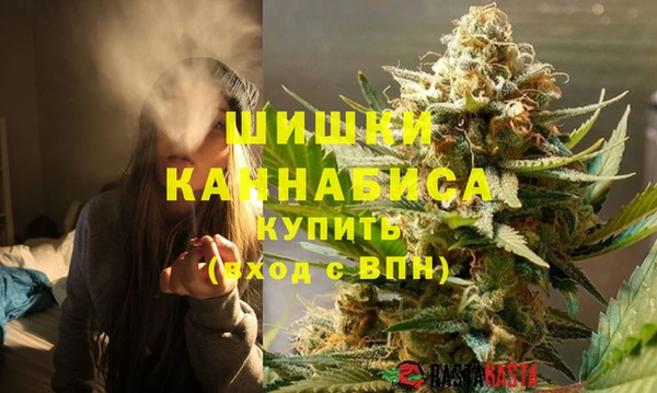 метадон Богданович