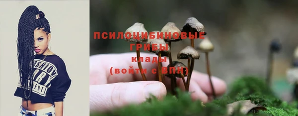 МДПВ Богородицк