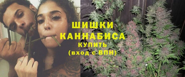 метадон Богданович