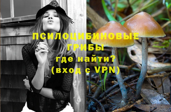 МДПВ Богородицк
