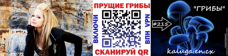 дарнет шоп  Фрязино  Псилоцибиновые грибы мицелий 