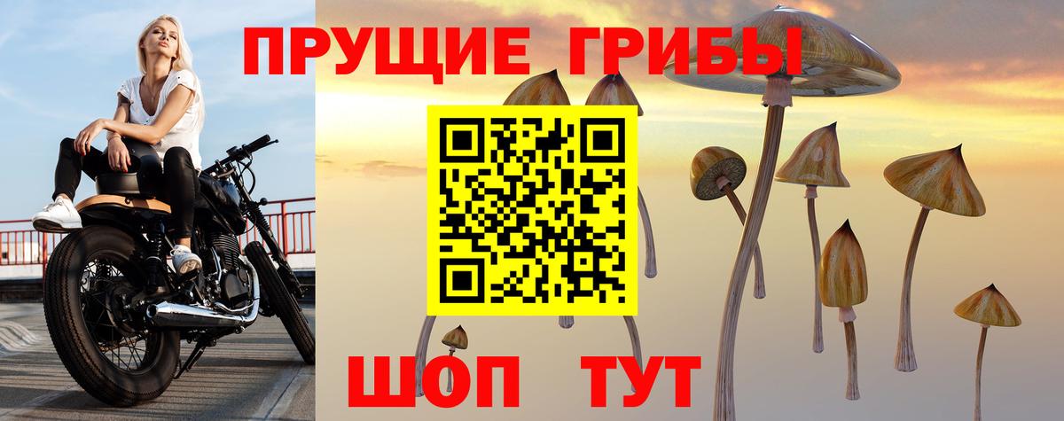 Галлюциногенные грибы Psilocybe Фрязино